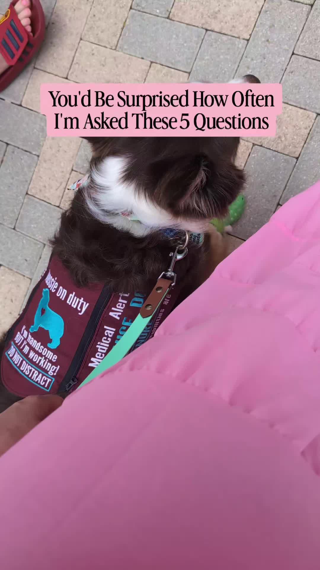 @BasicallyBandit