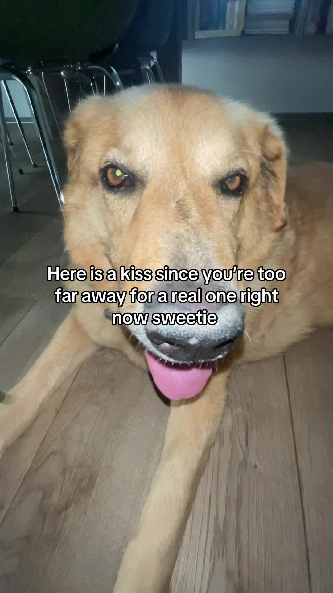 @Neo