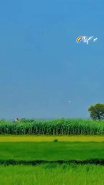 @bahwalnagarofficial