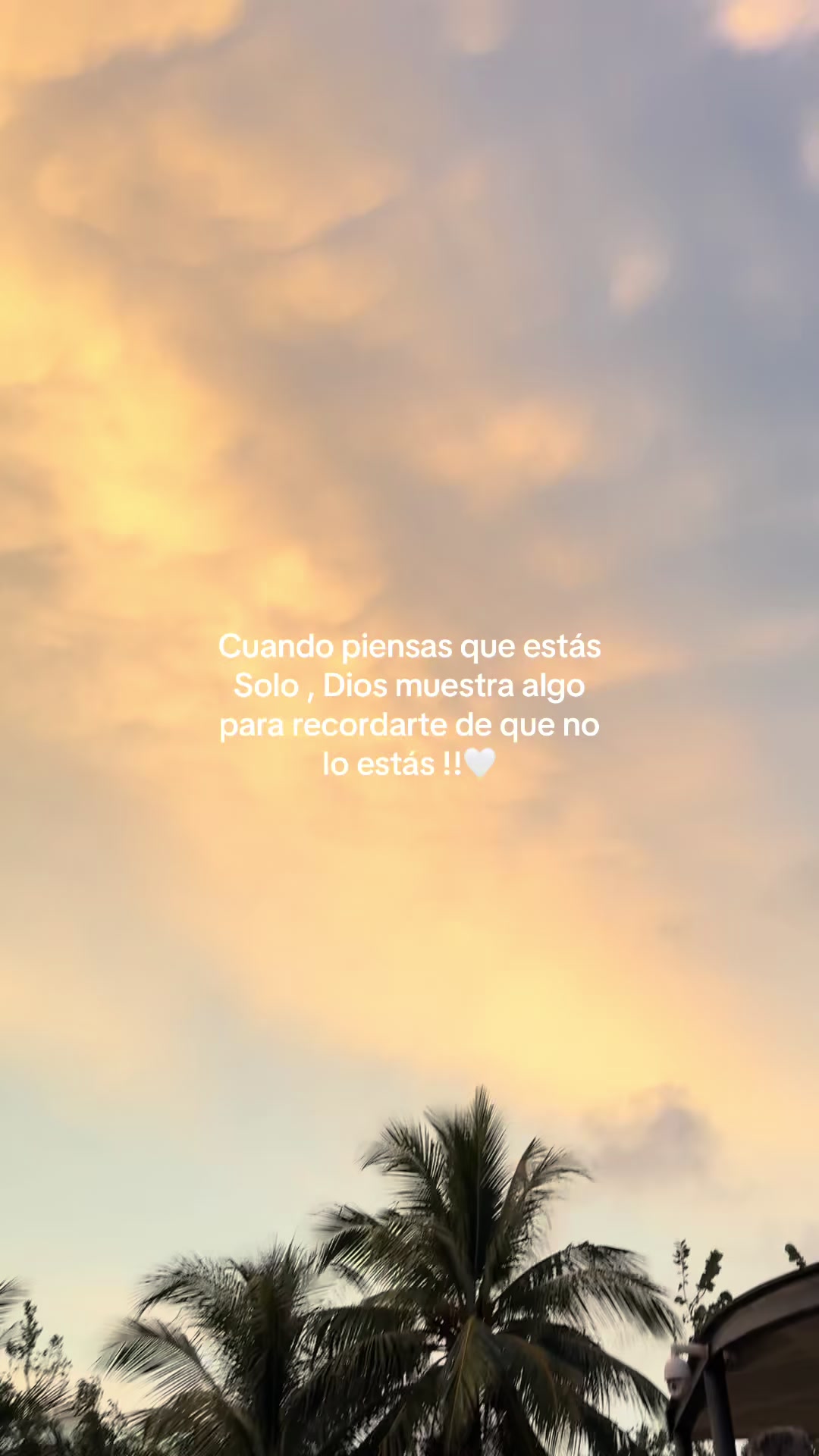@🤍🍀A.