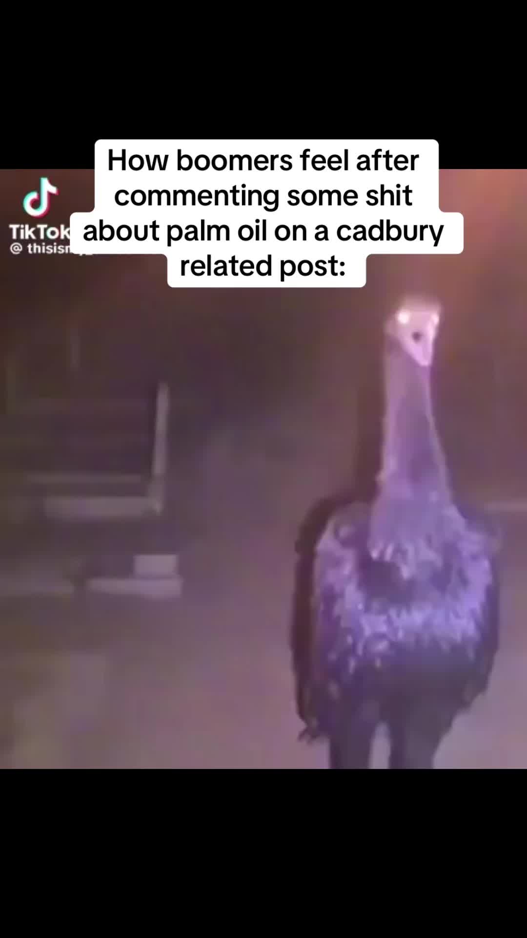 @тєммιє
