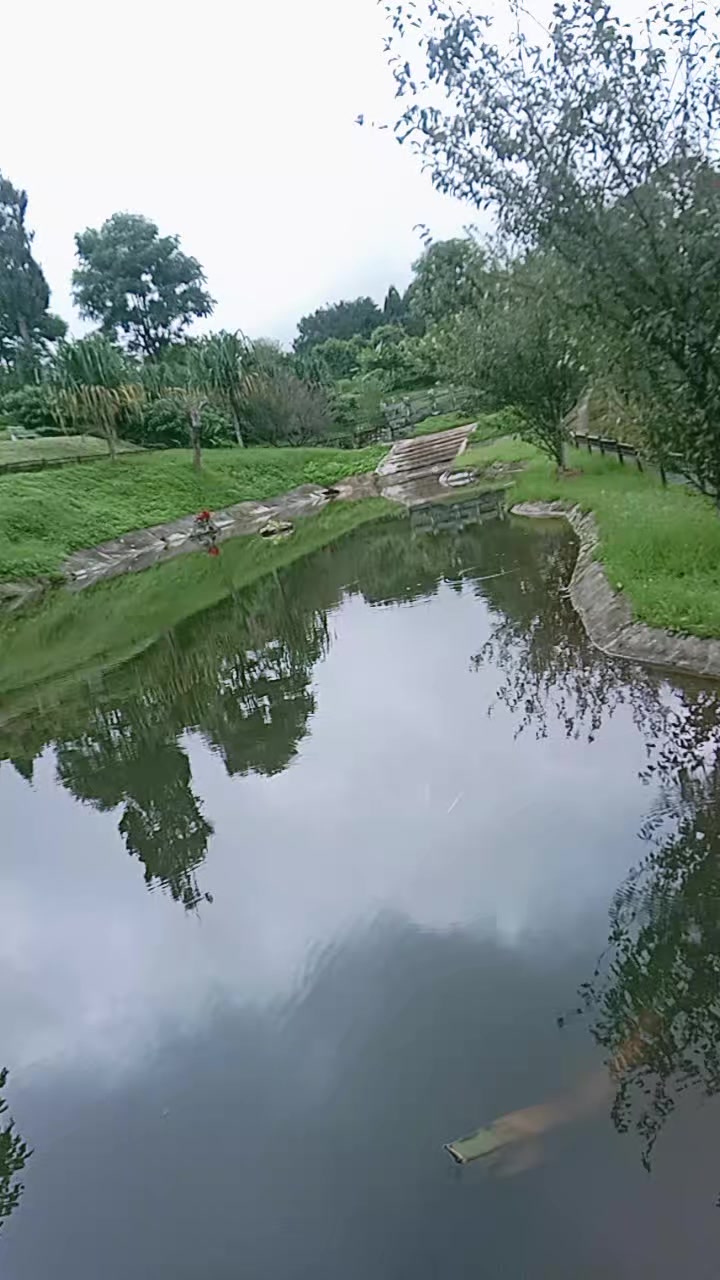 @PassangMo