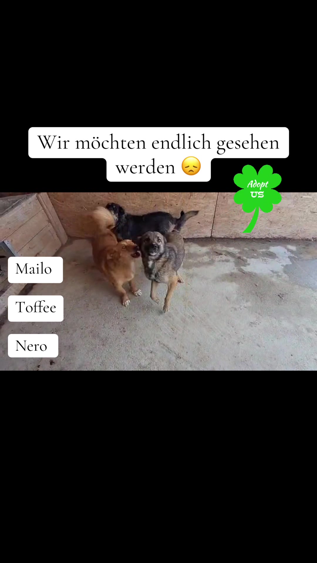 @Soulistas.Tierliebe