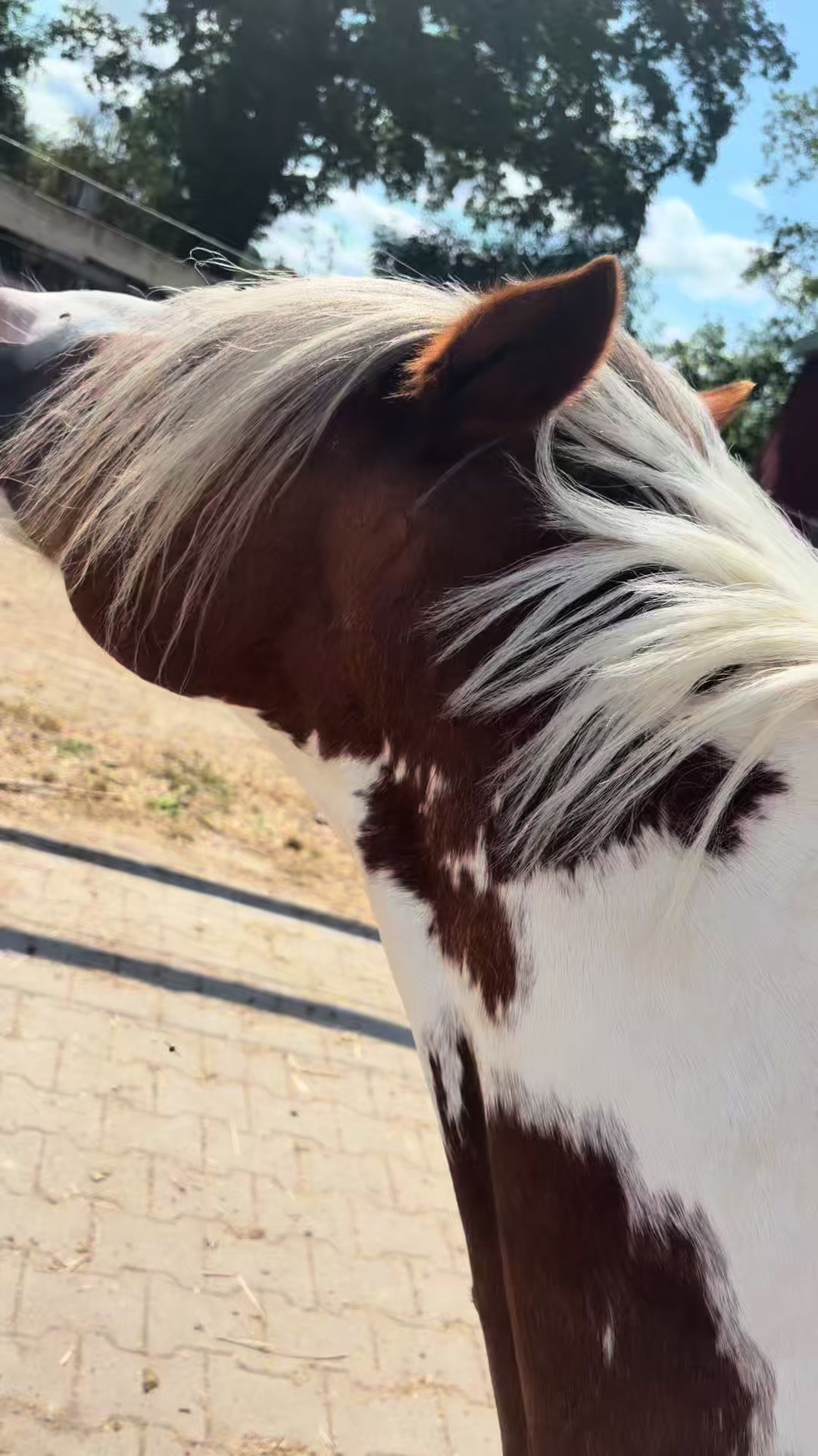 @Alina