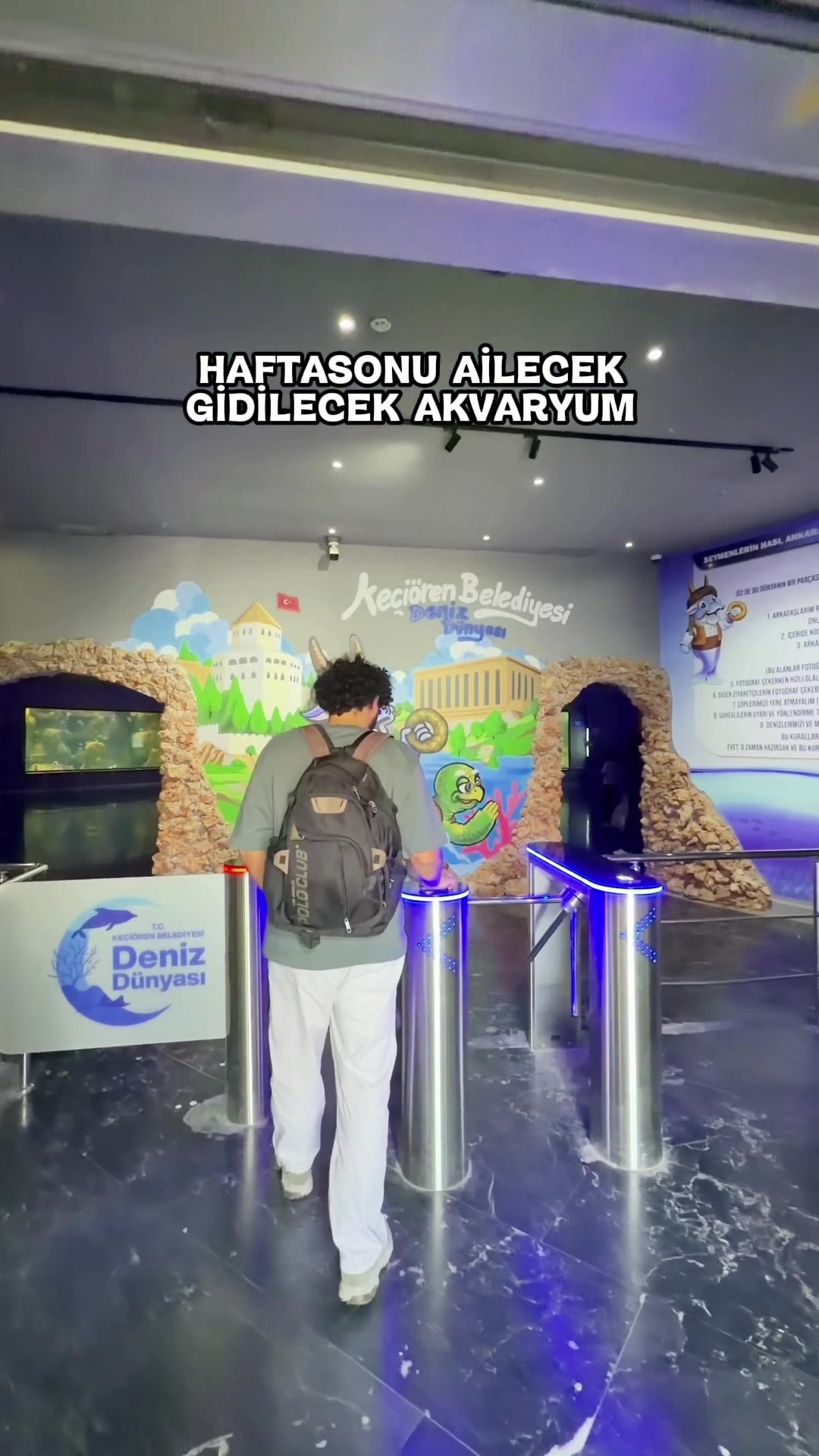@ikielinsesi