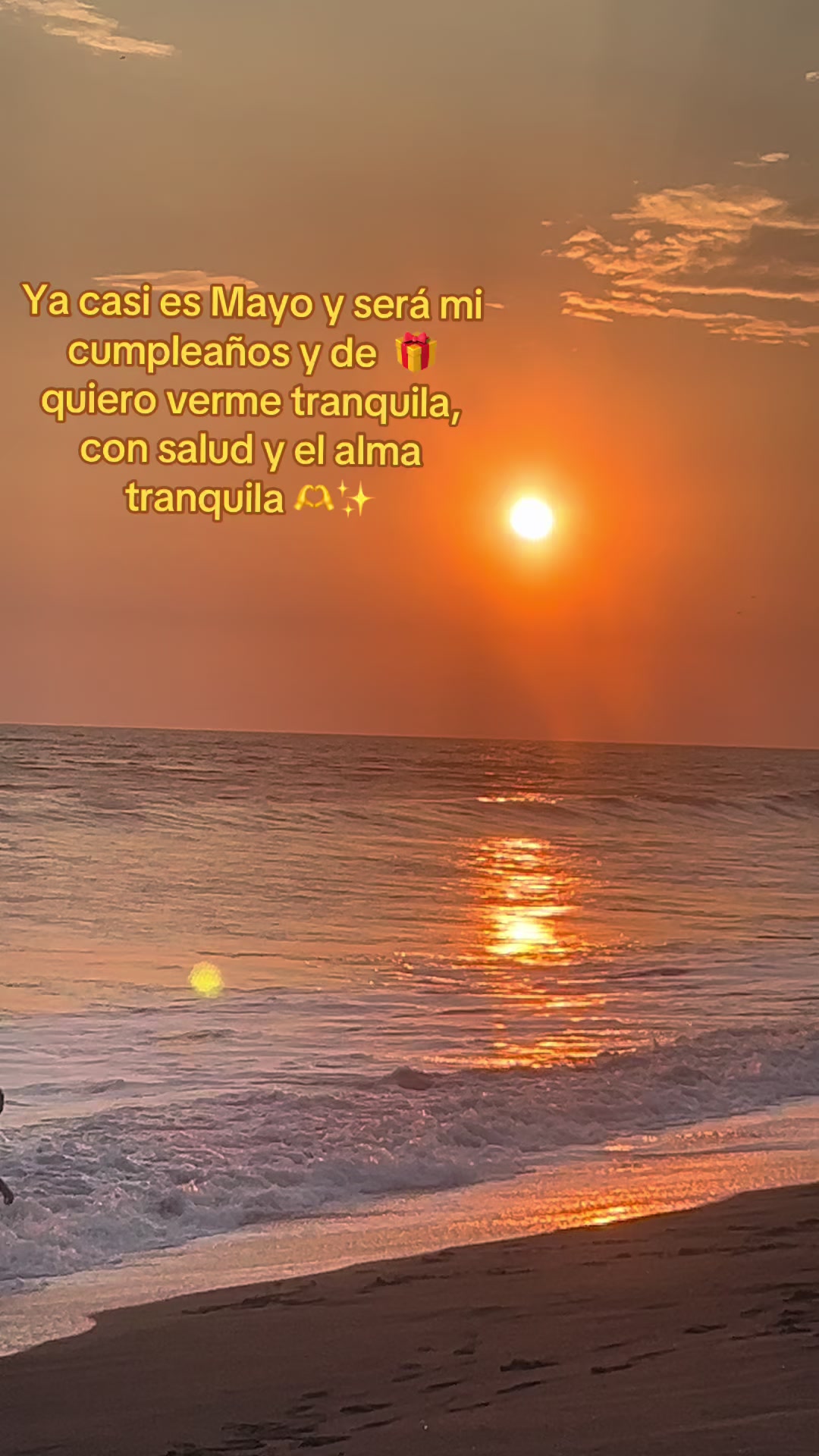 @maressina_