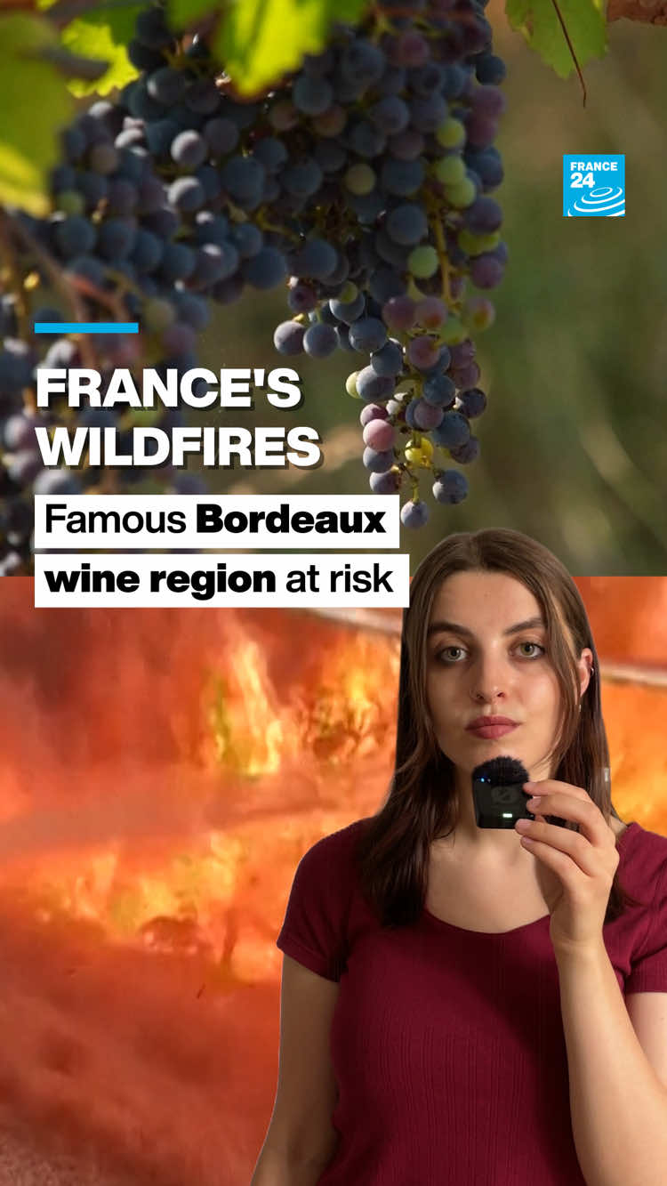 @FRANCE 24 English