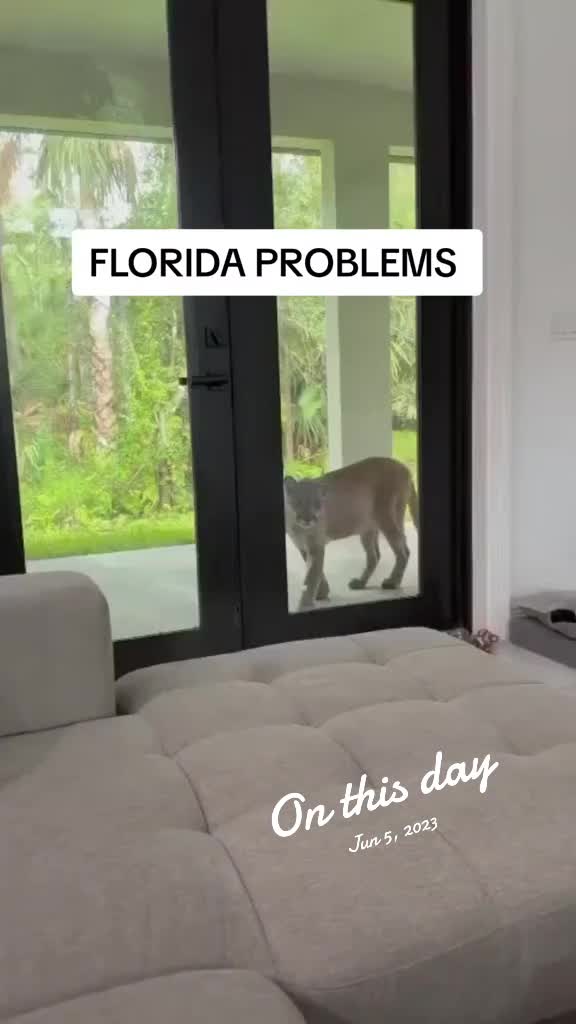 @just-random-stuff