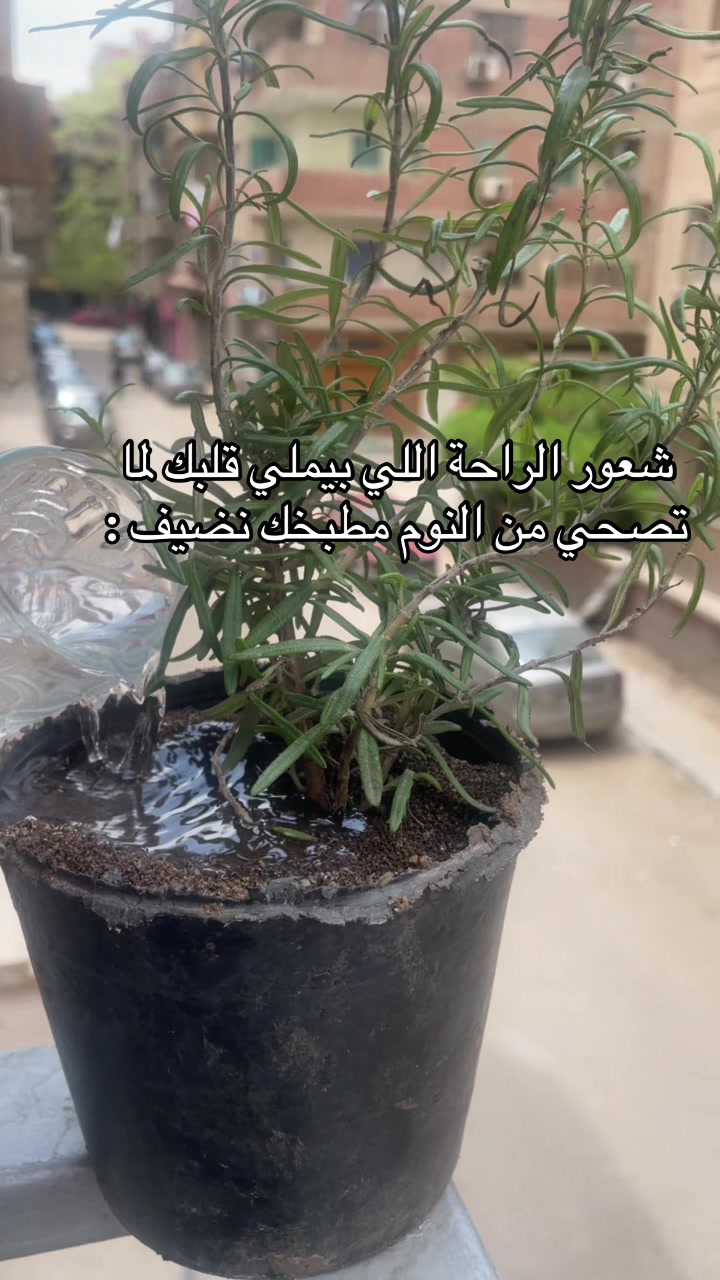 @آيه~