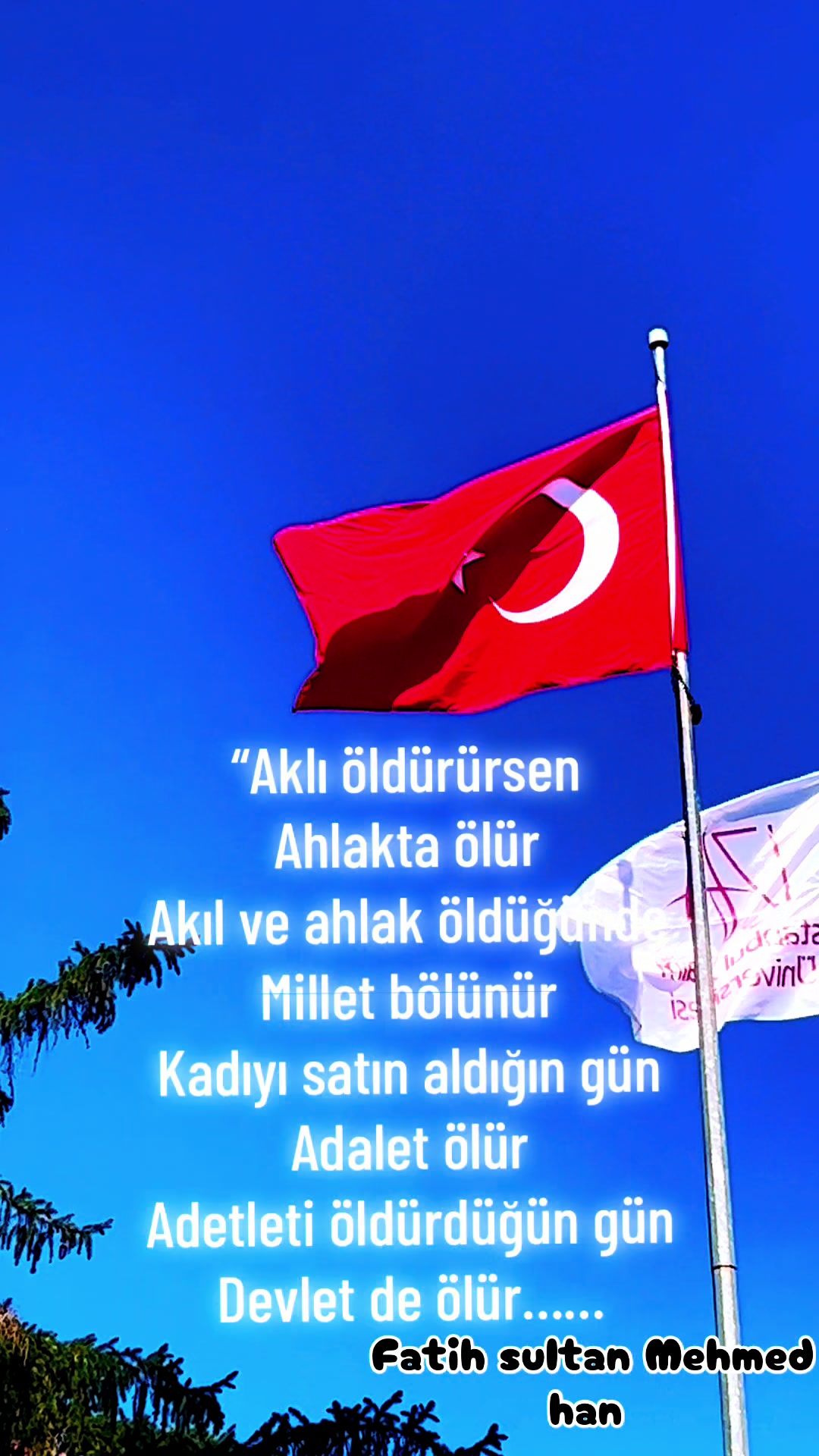 @👑kral3460Delice👑