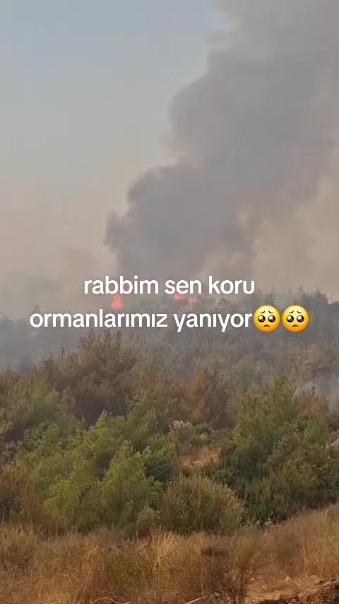 @💗💗 Beyaz kuğuuu 💗💗