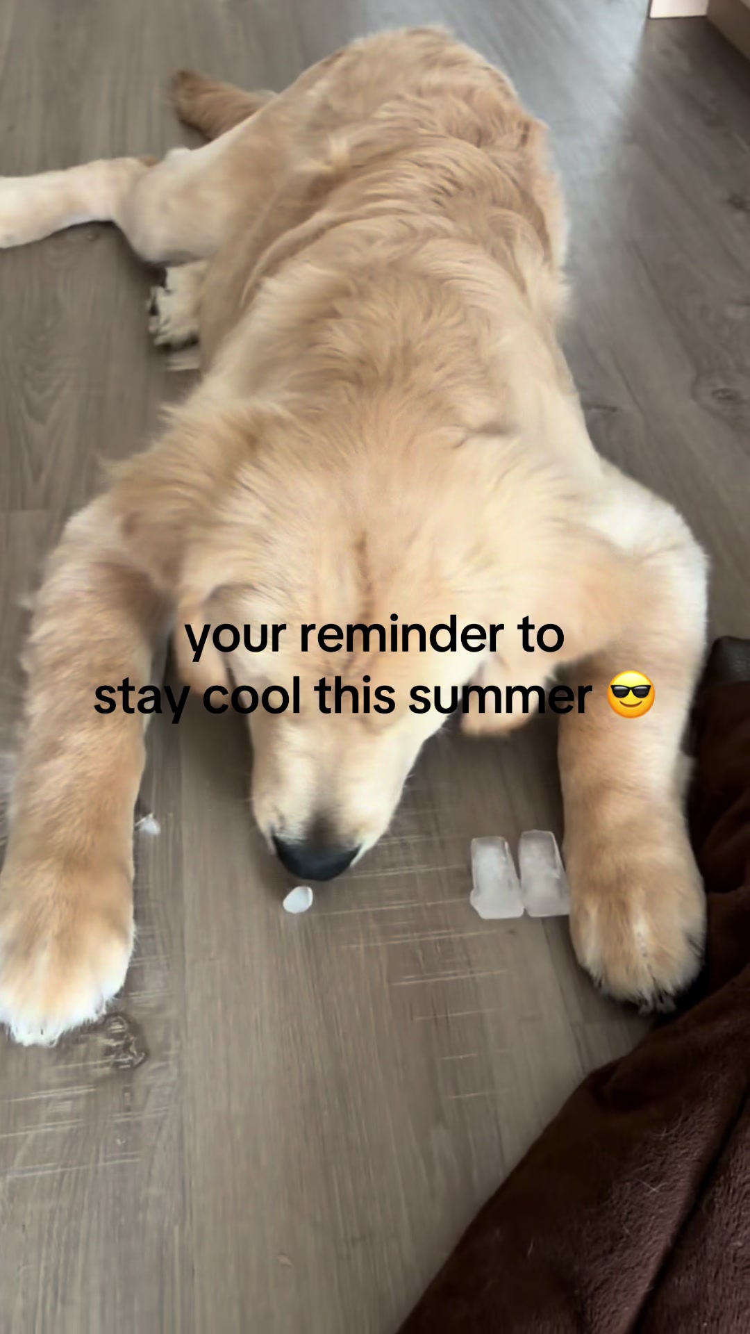 @Luca the Golden