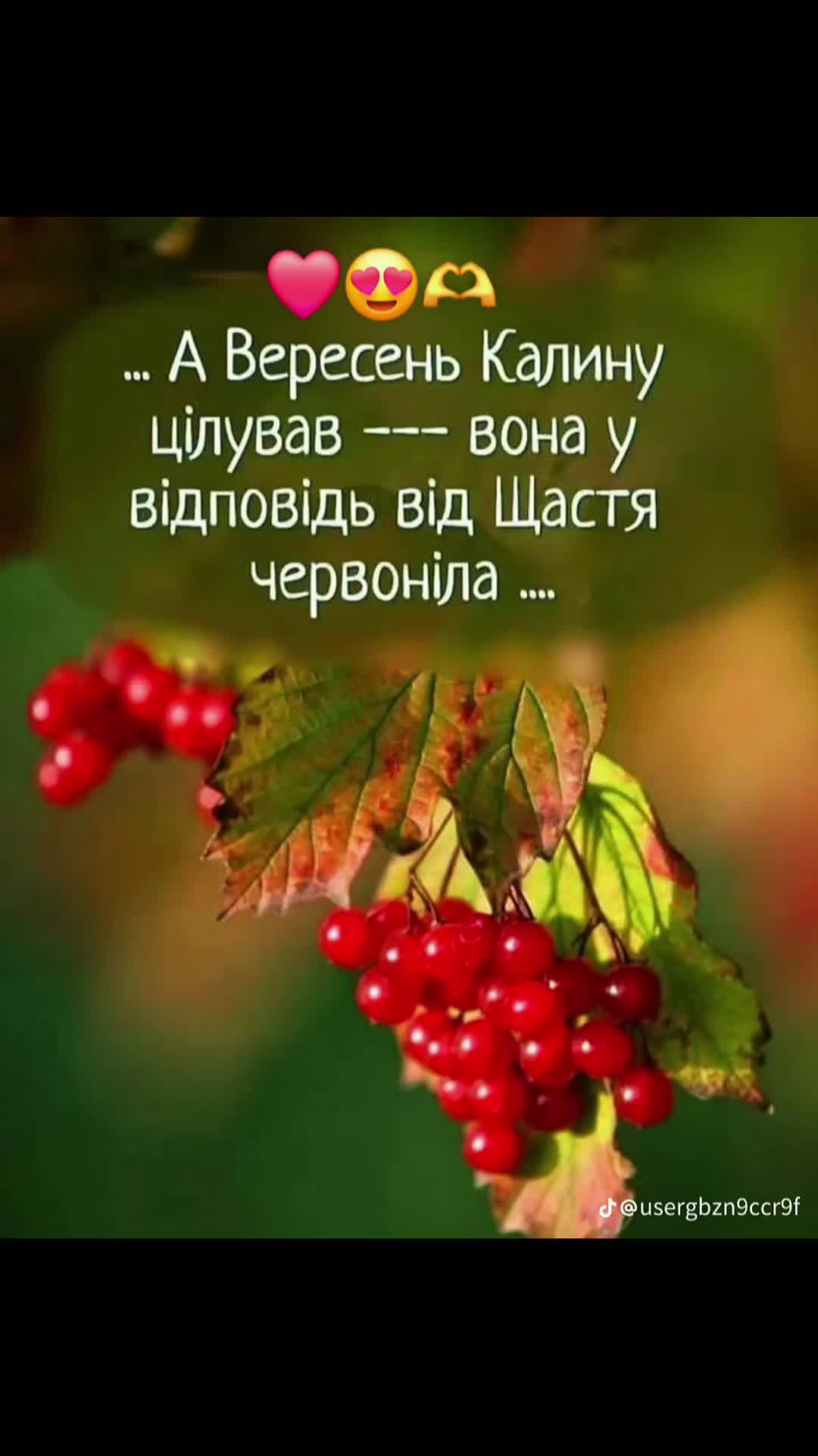 @НАХ¥& Н@Т@SHi В ДРУЗЯХ РАША?!