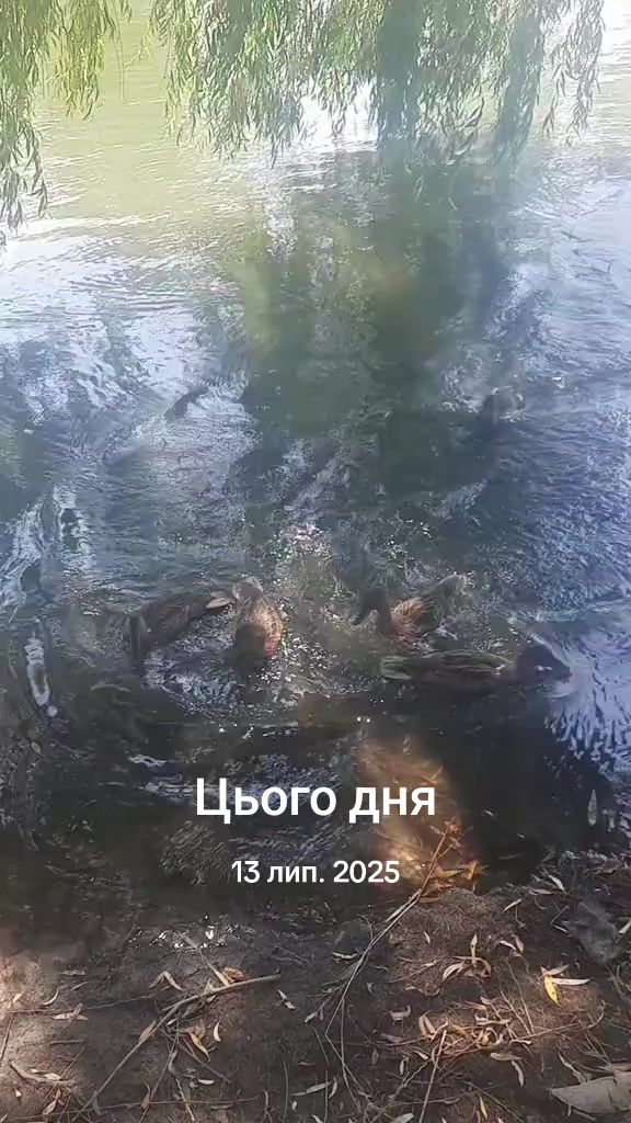 @Божена