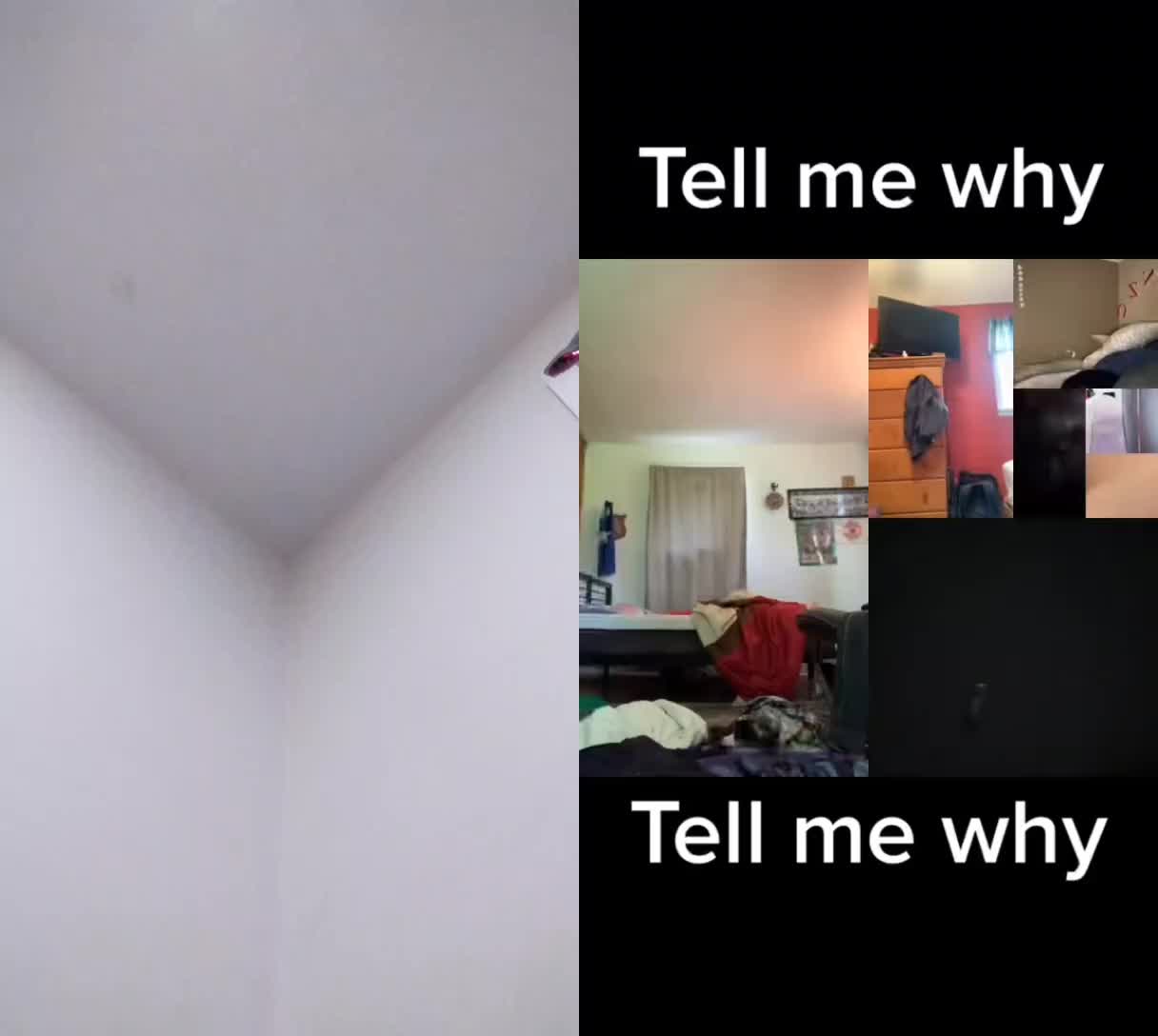 @Kermit The Frog Tiktok