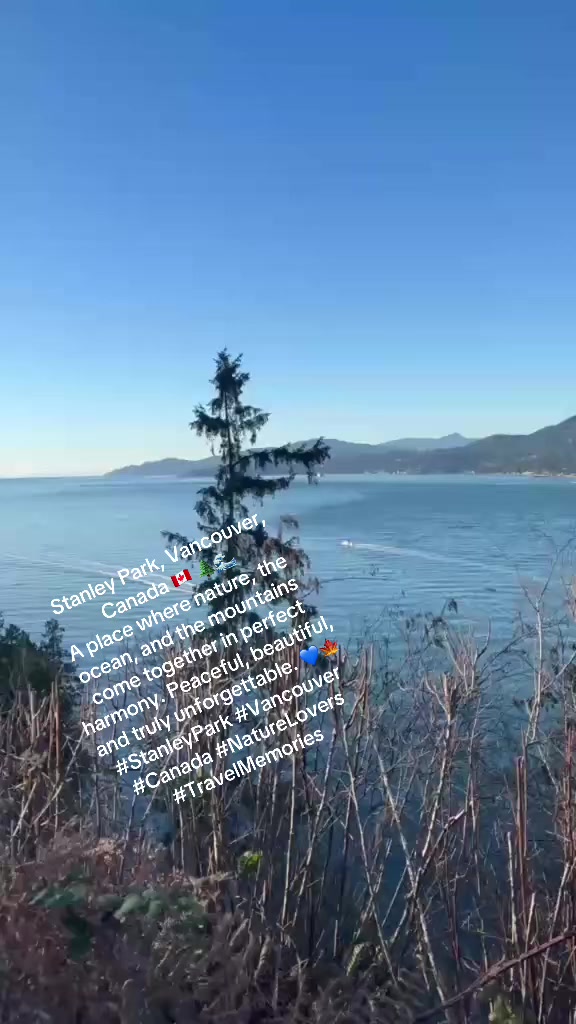 @💞❣️🇯🇵HoneyGee🇨🇦❣️💞