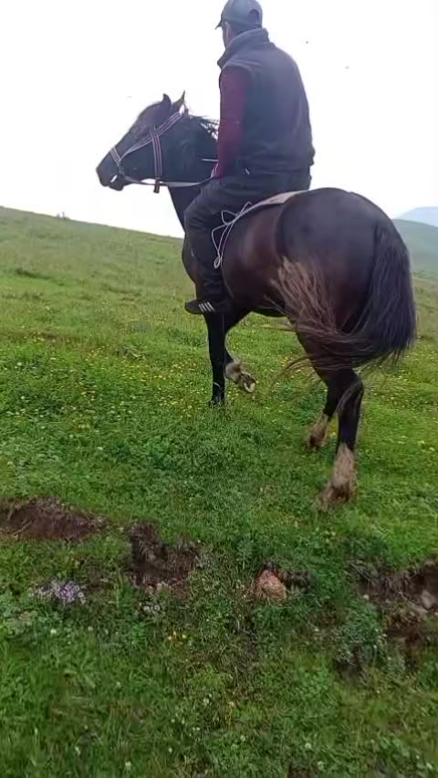 @Վաչե Գևորգյան