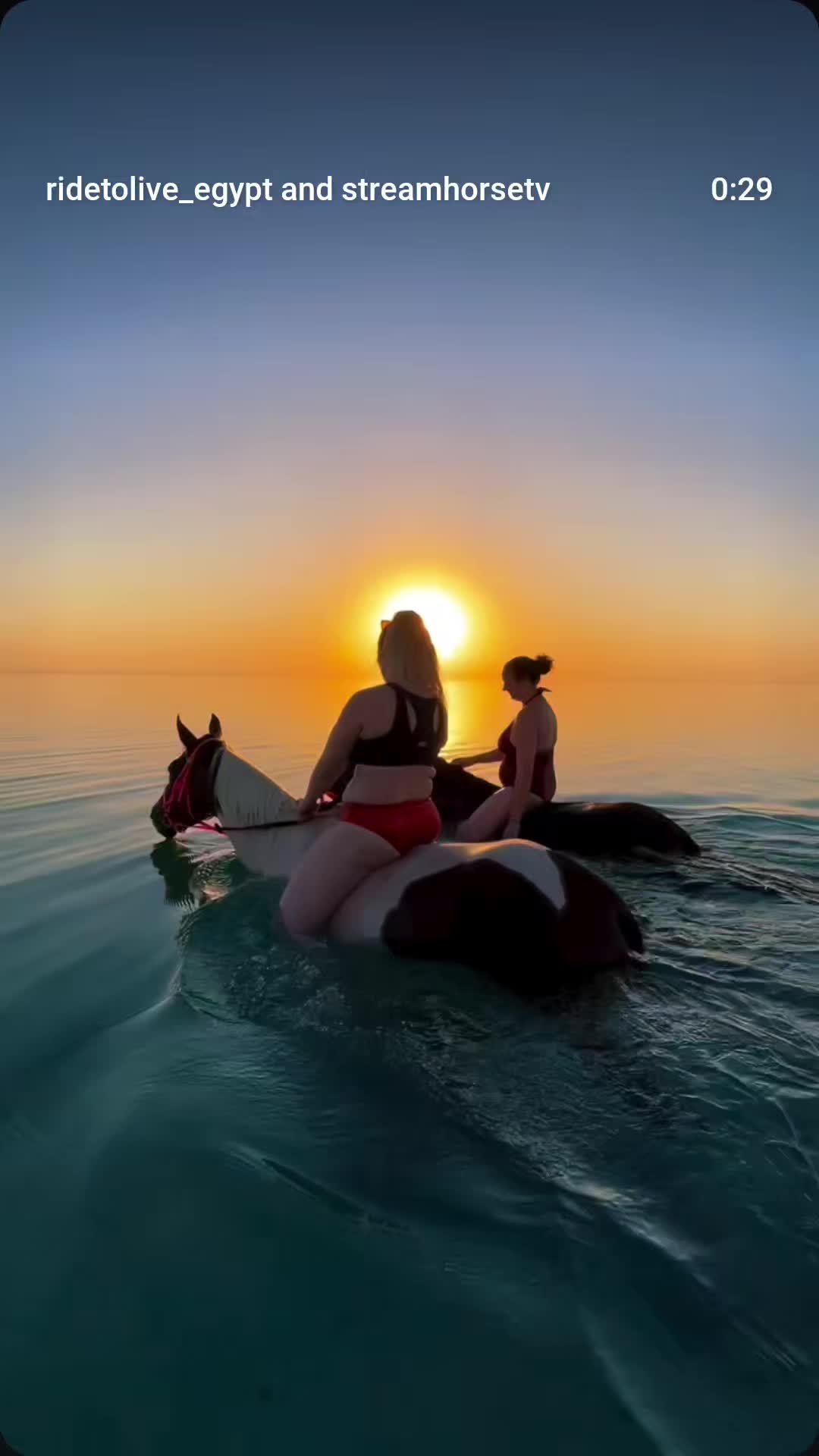 @streamhorse