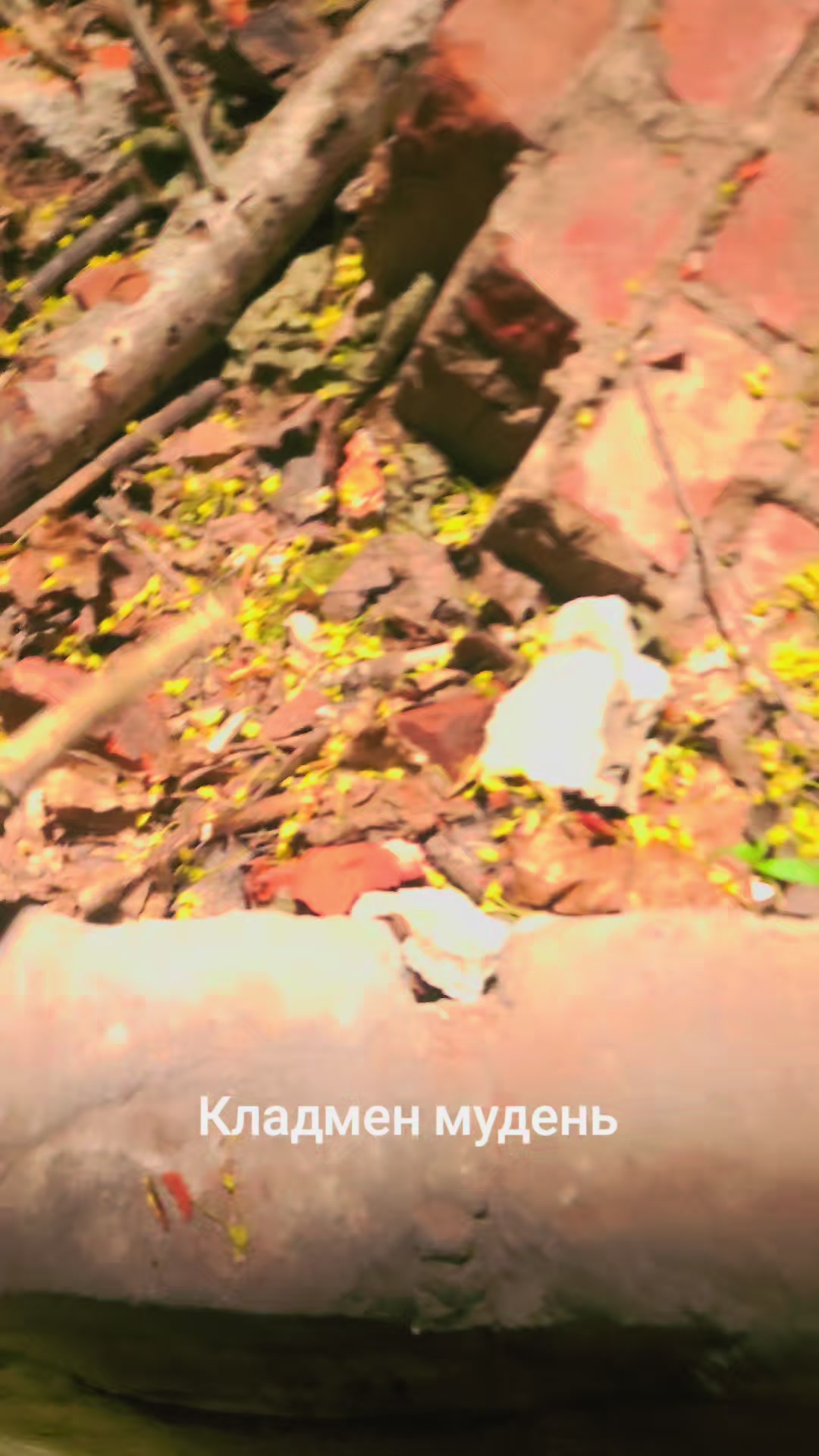 @Юзер