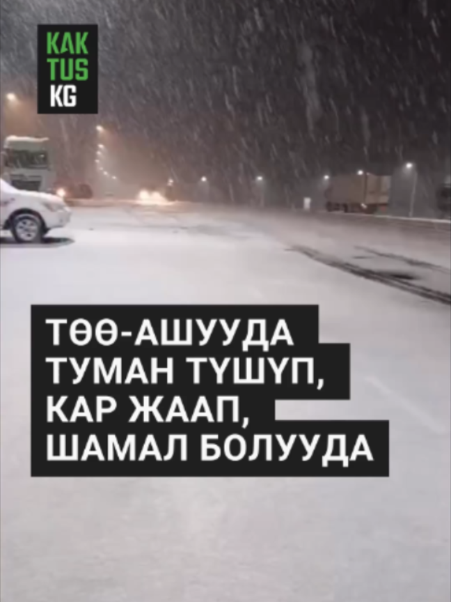 @Kaktus KG