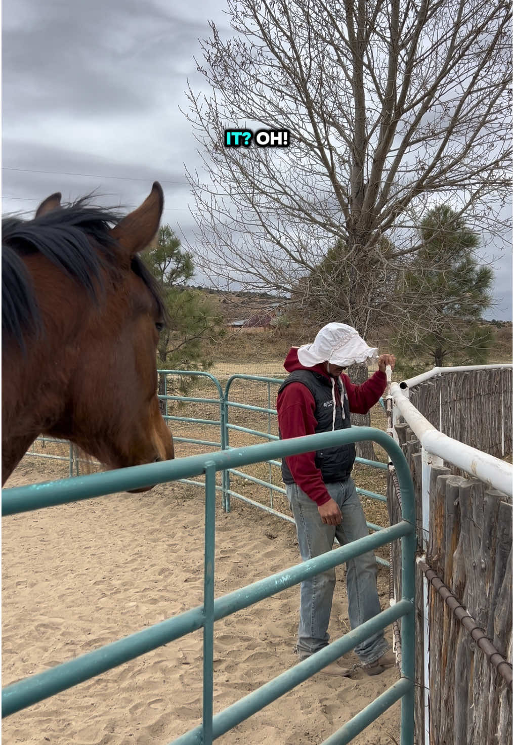 @cowgirlcommentary