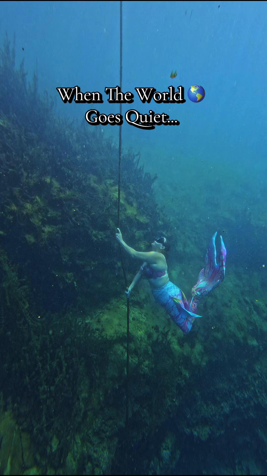 @Gulf Coast Mermaid 🧜♀️