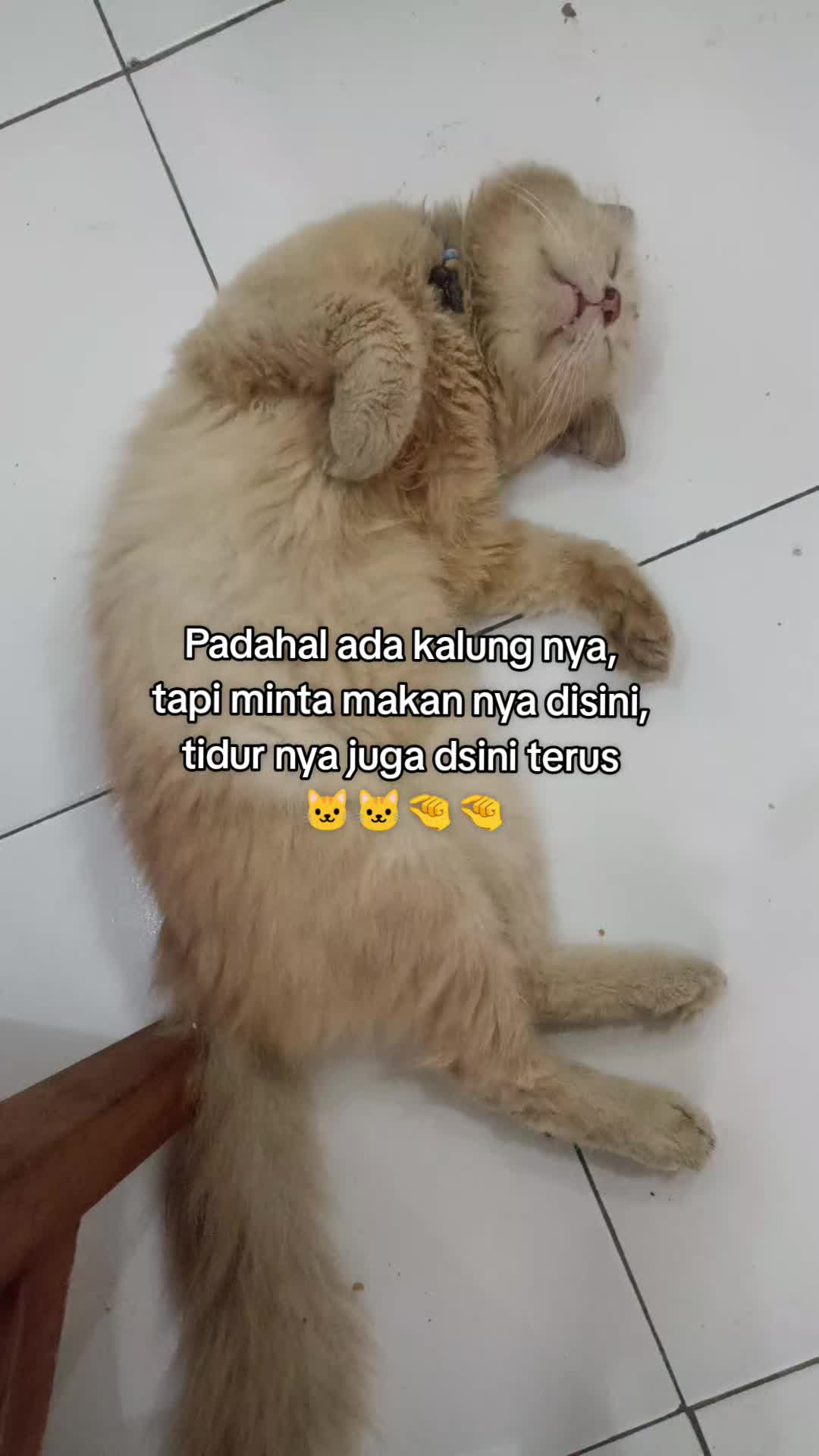 @Onti Dith Jumbo