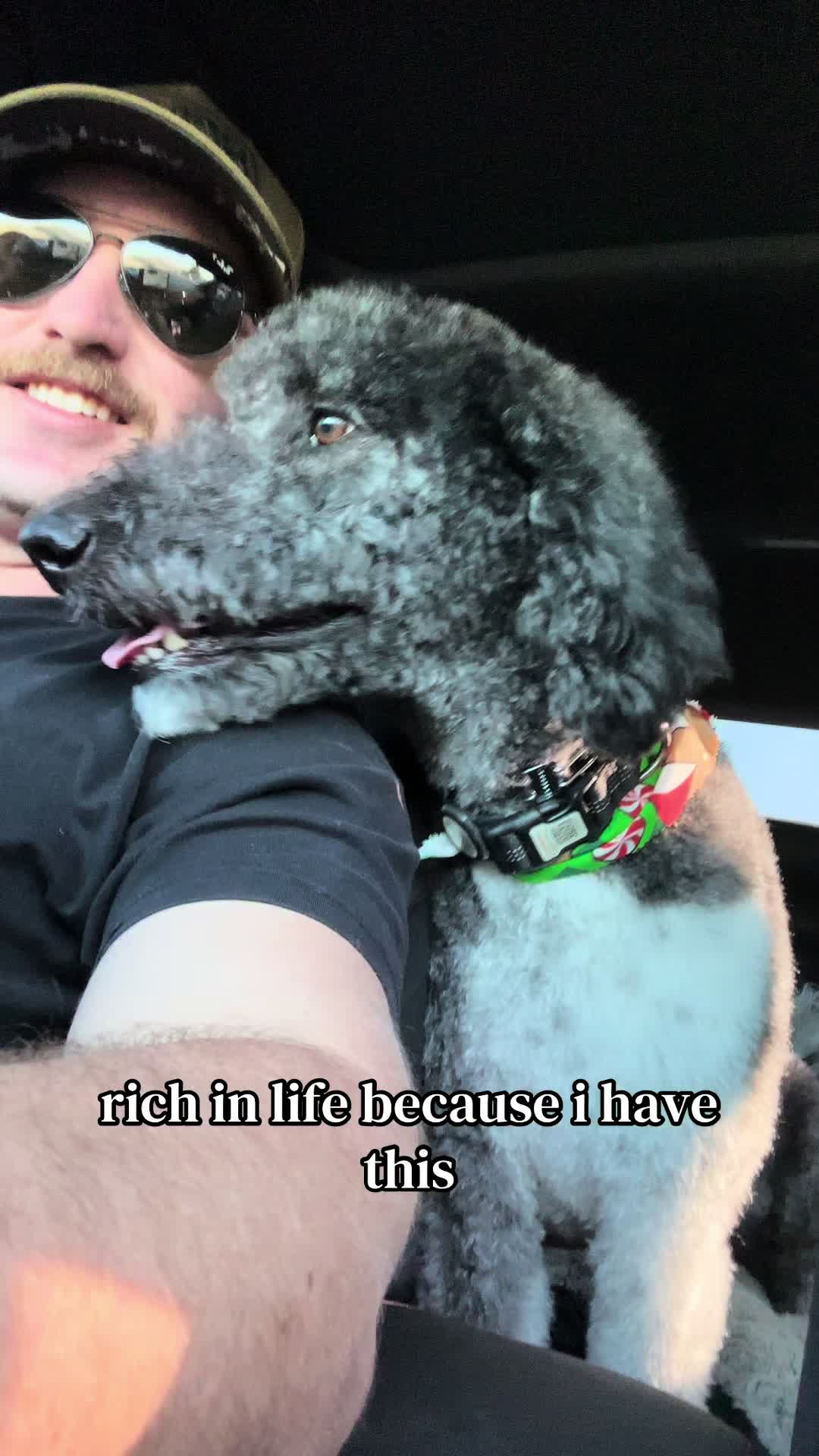 @Luna - The Goodest Labradoodle