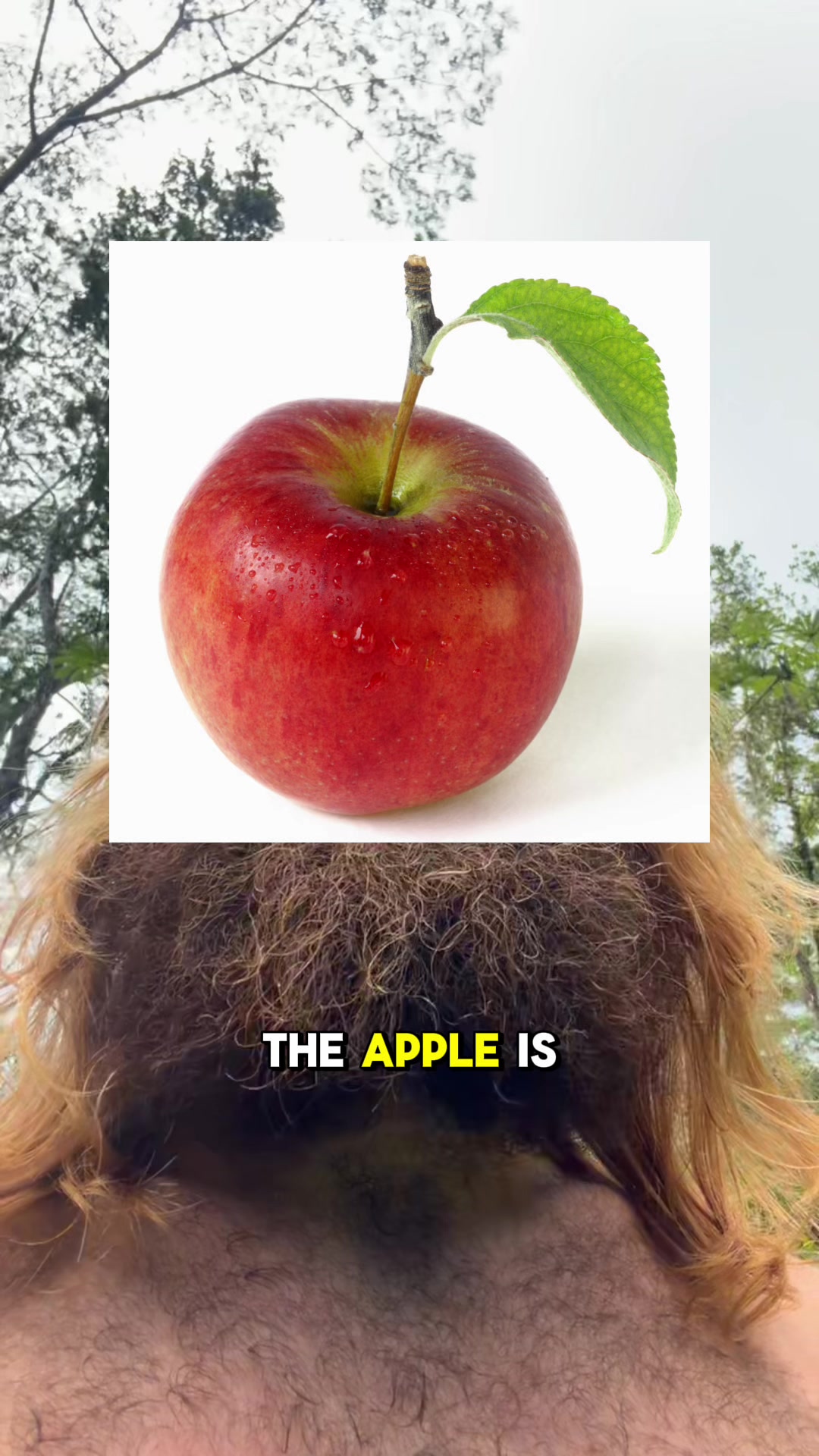 @greenmanofspring