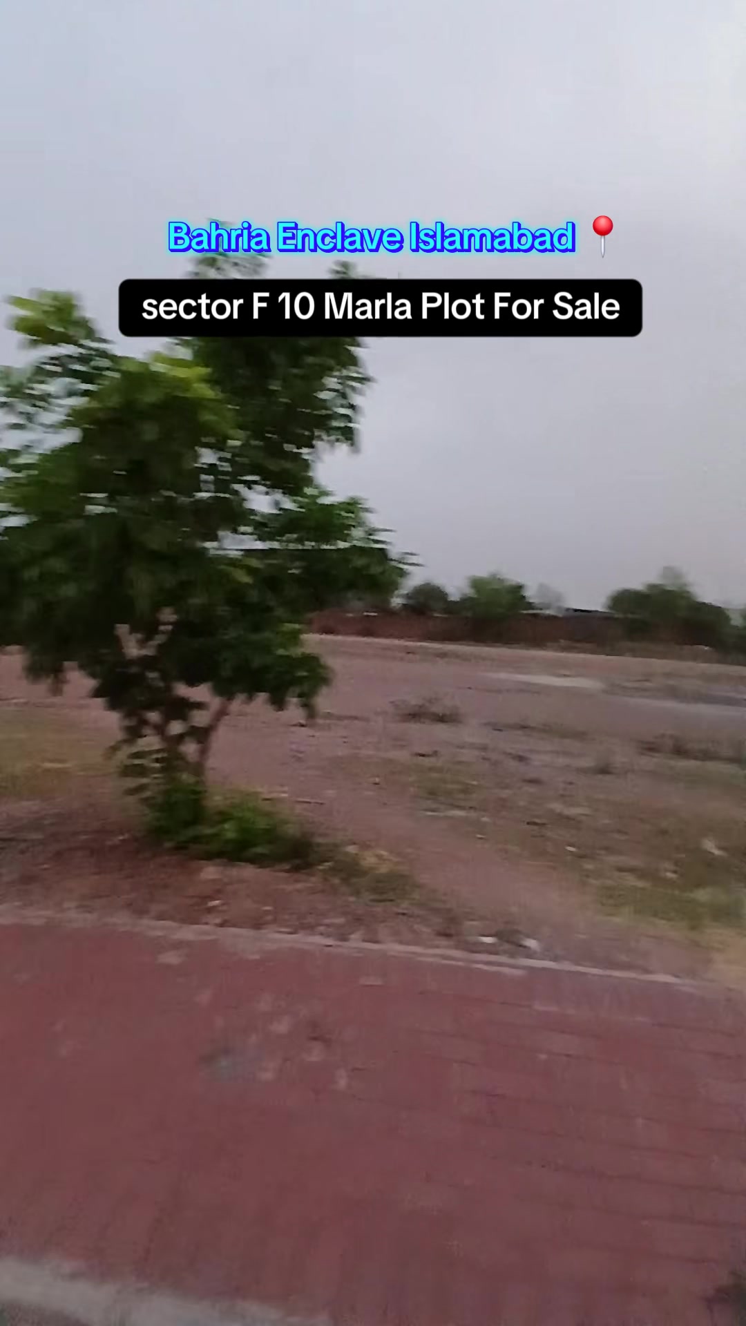 @Shafi Real Estate