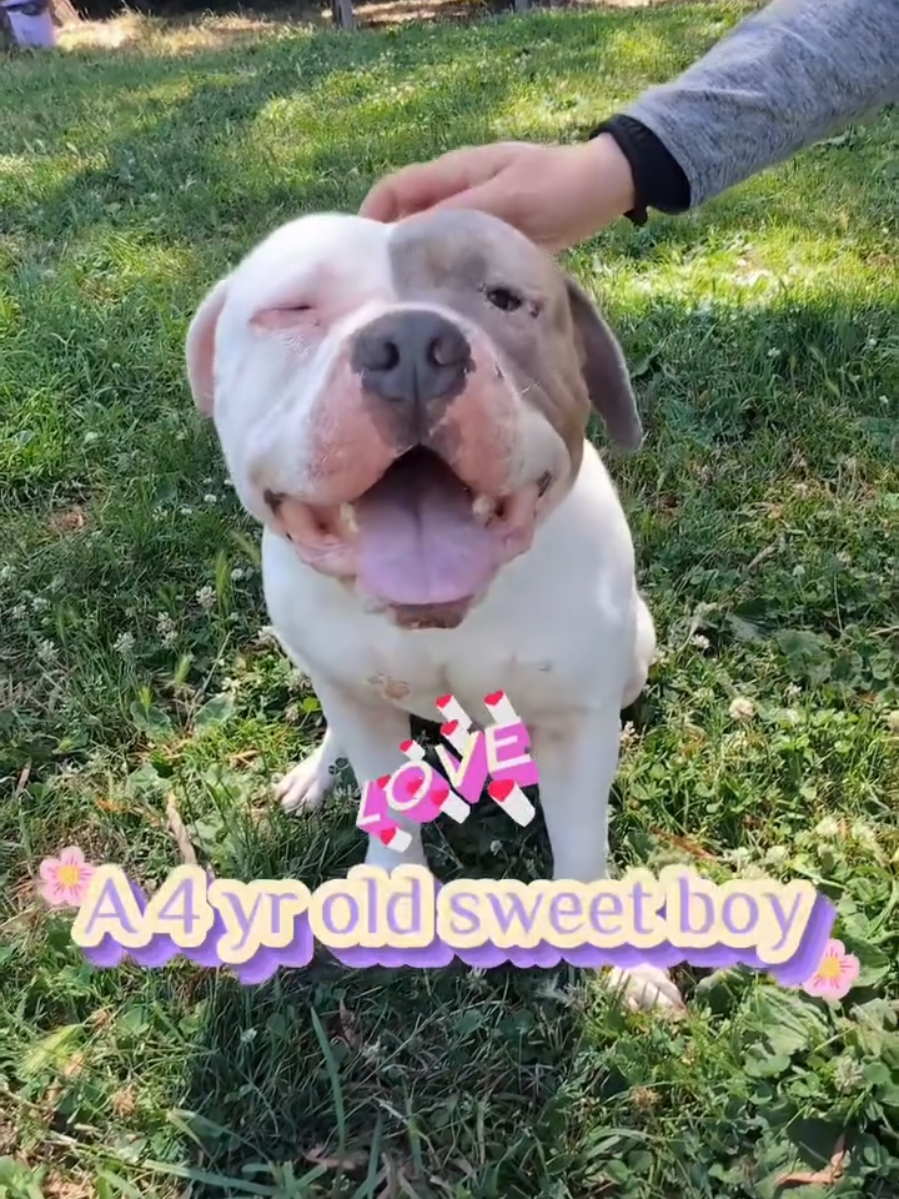 @Oakland Animal Services