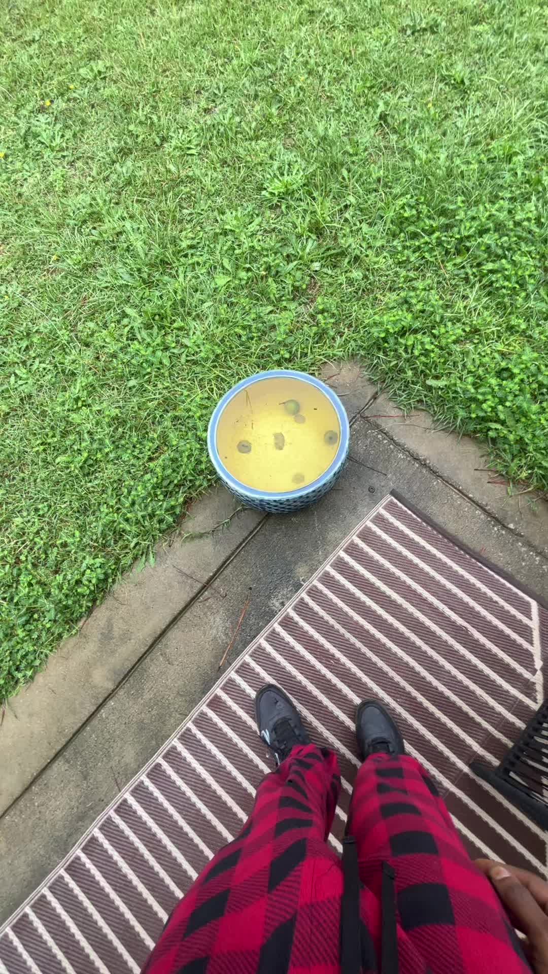 @yo_shasten
