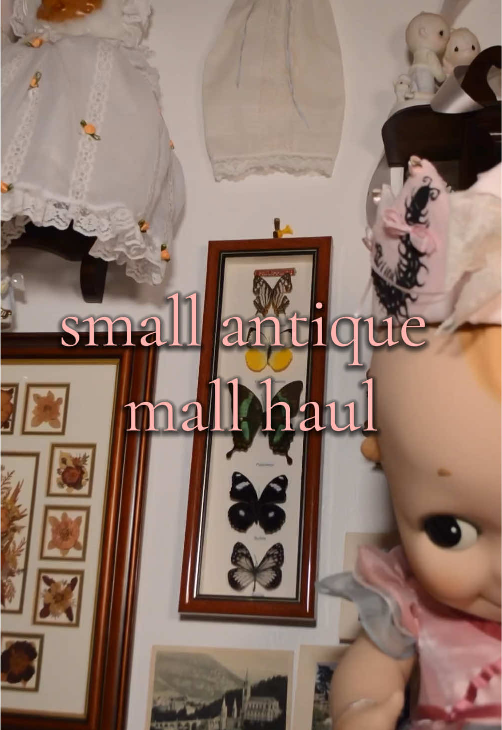 @bugs.and.bows
