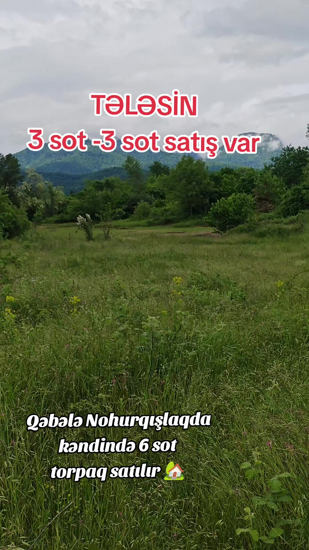 @qebeleturizm