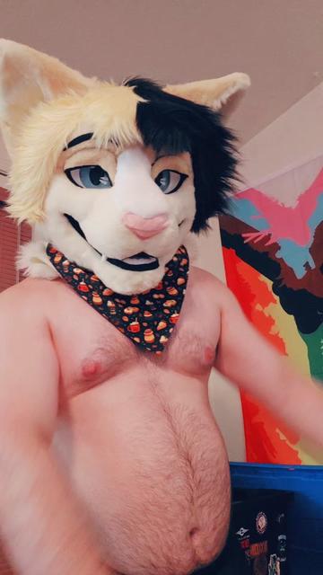 @ThiccMeowboi