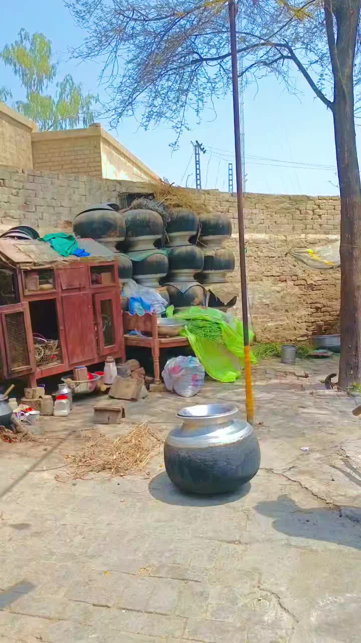 @zubairsh3