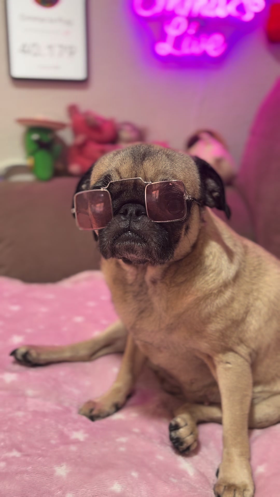 @Emma la Pug