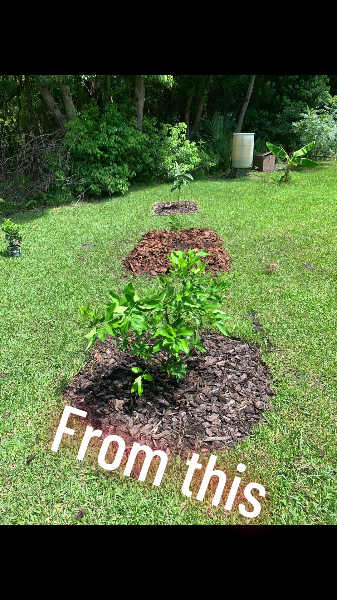 @producersteve