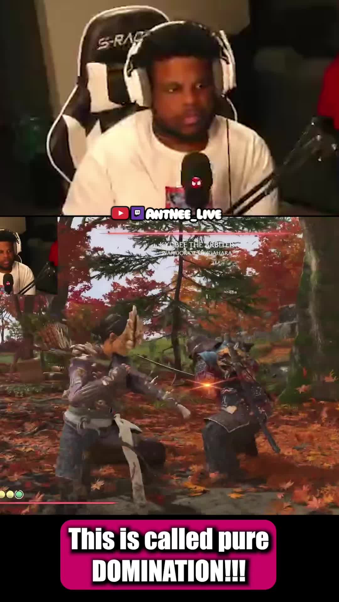 @AntNee Live
