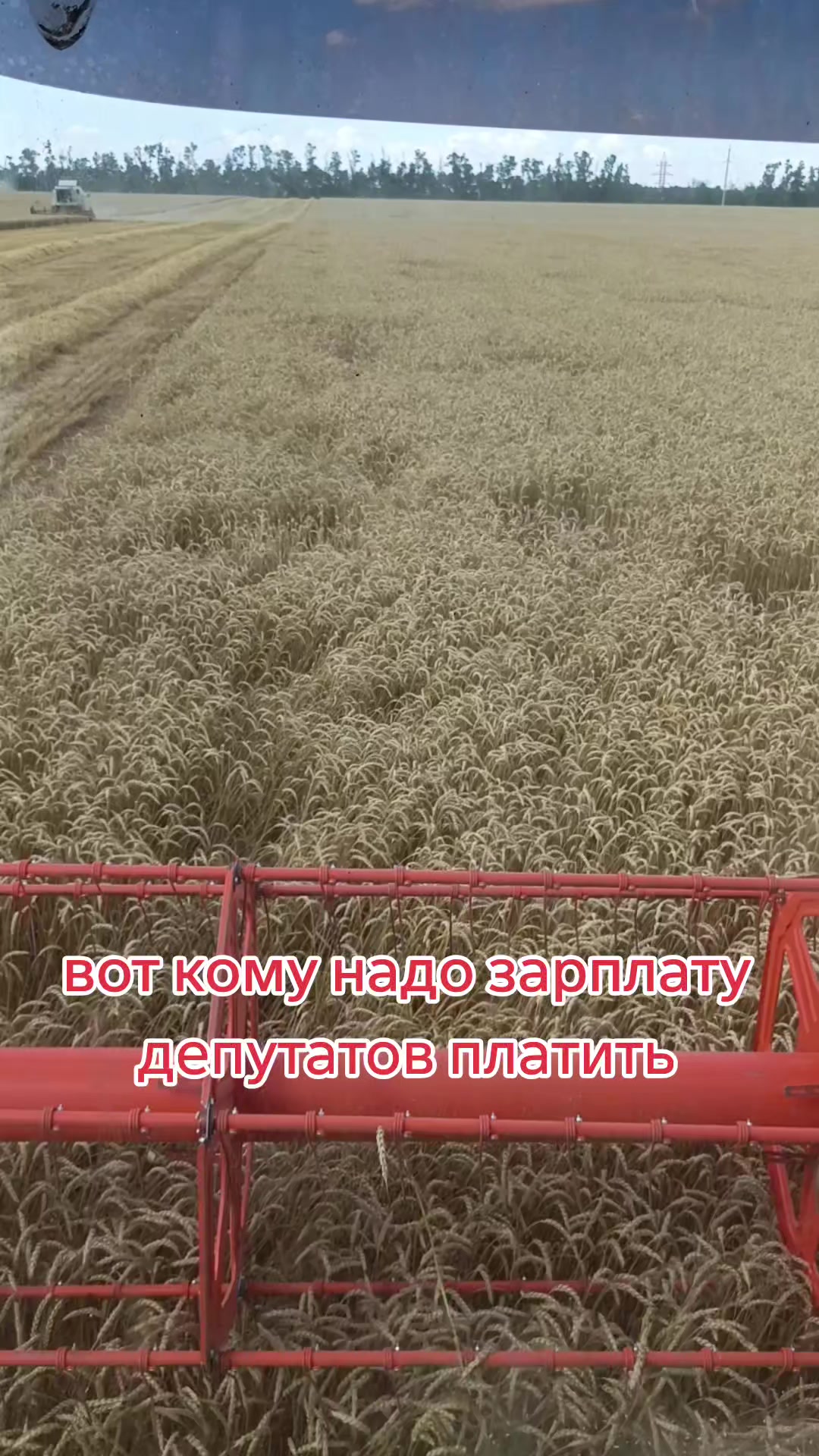 @Алёна