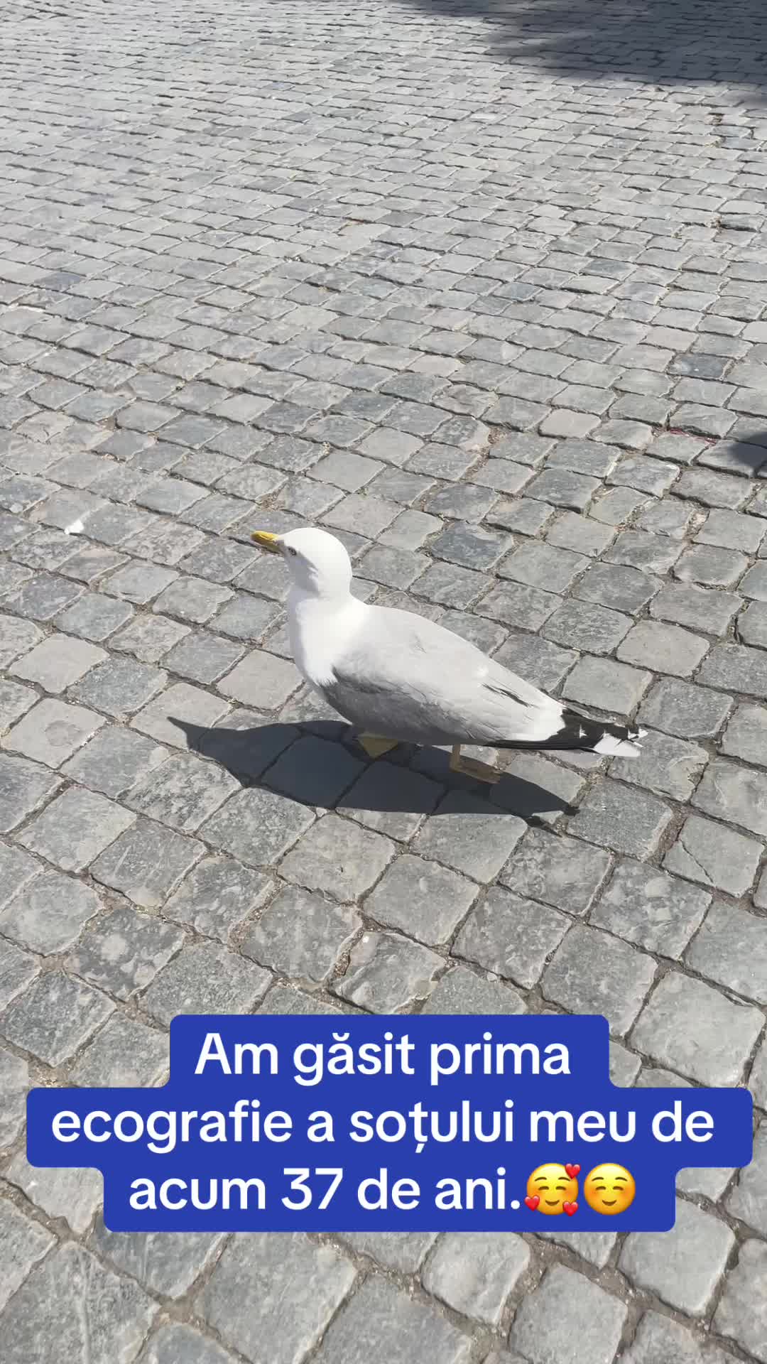 @geanina_94
