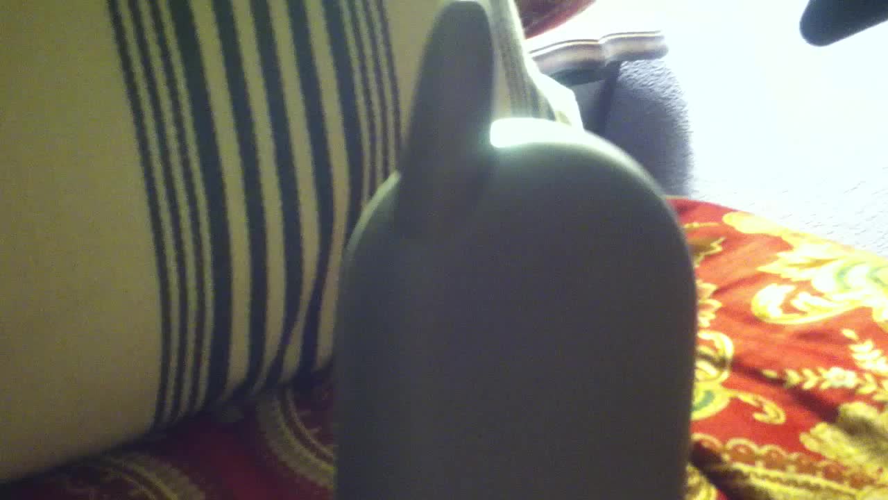 @Bieschu