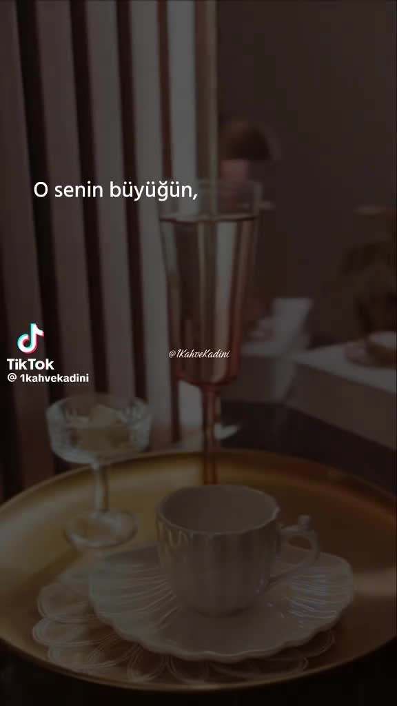 @sevidanmemis961