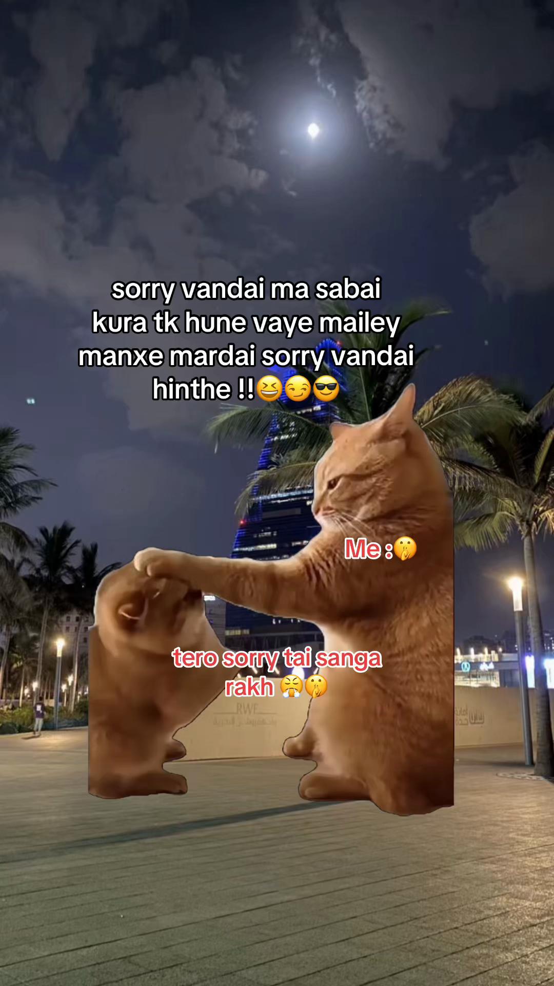 @अनिल तामाङ 🇦🇪🫧