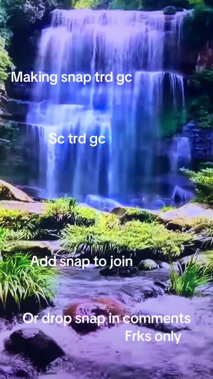 @Bigdbored42069
