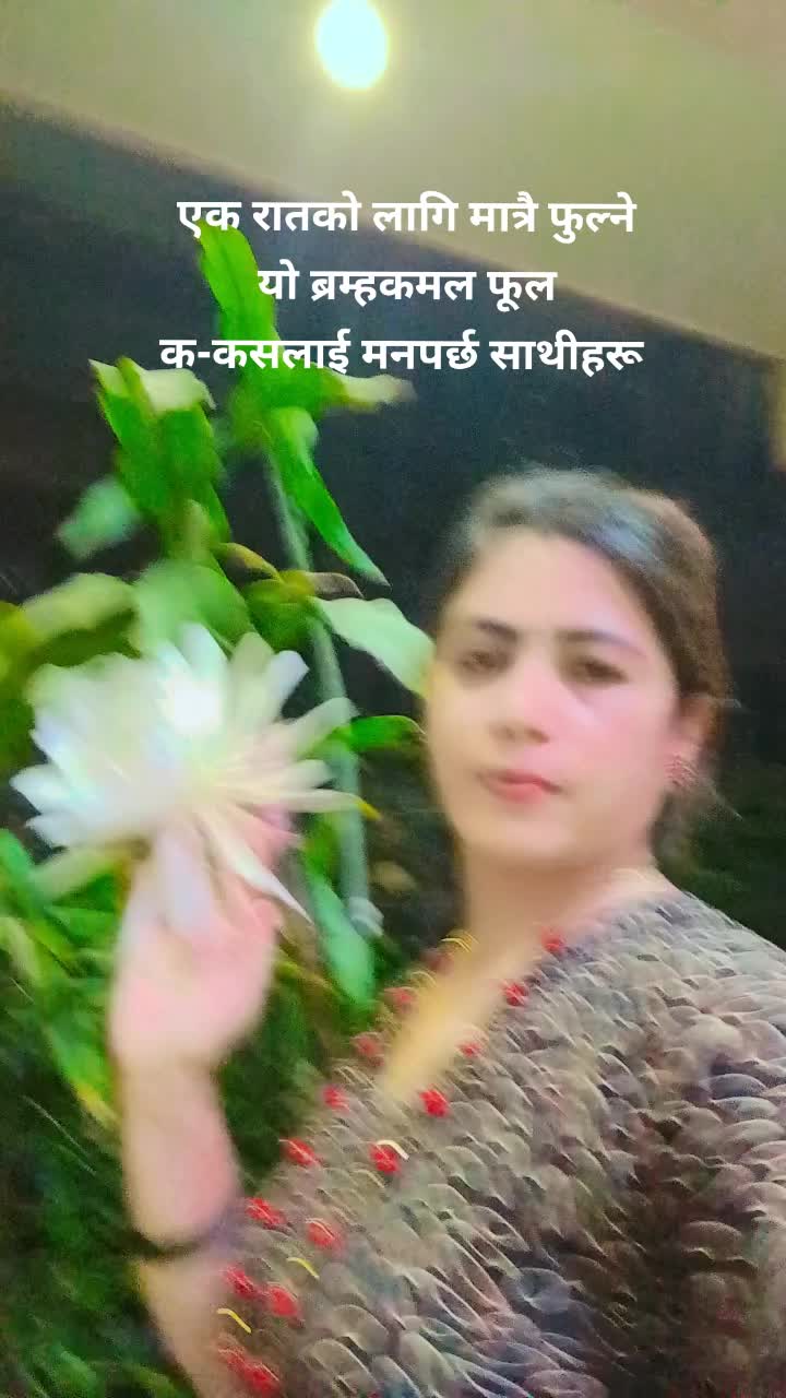@Sabitri Pyakurel35