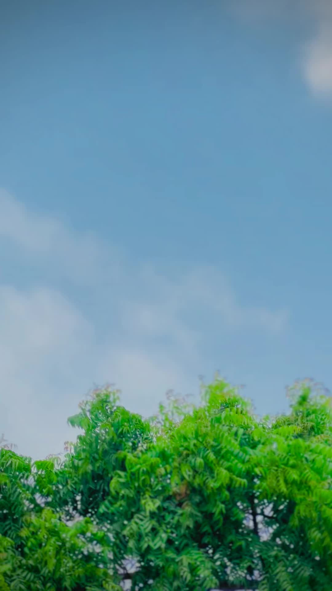 @𝐌𝐊🚩بنگش