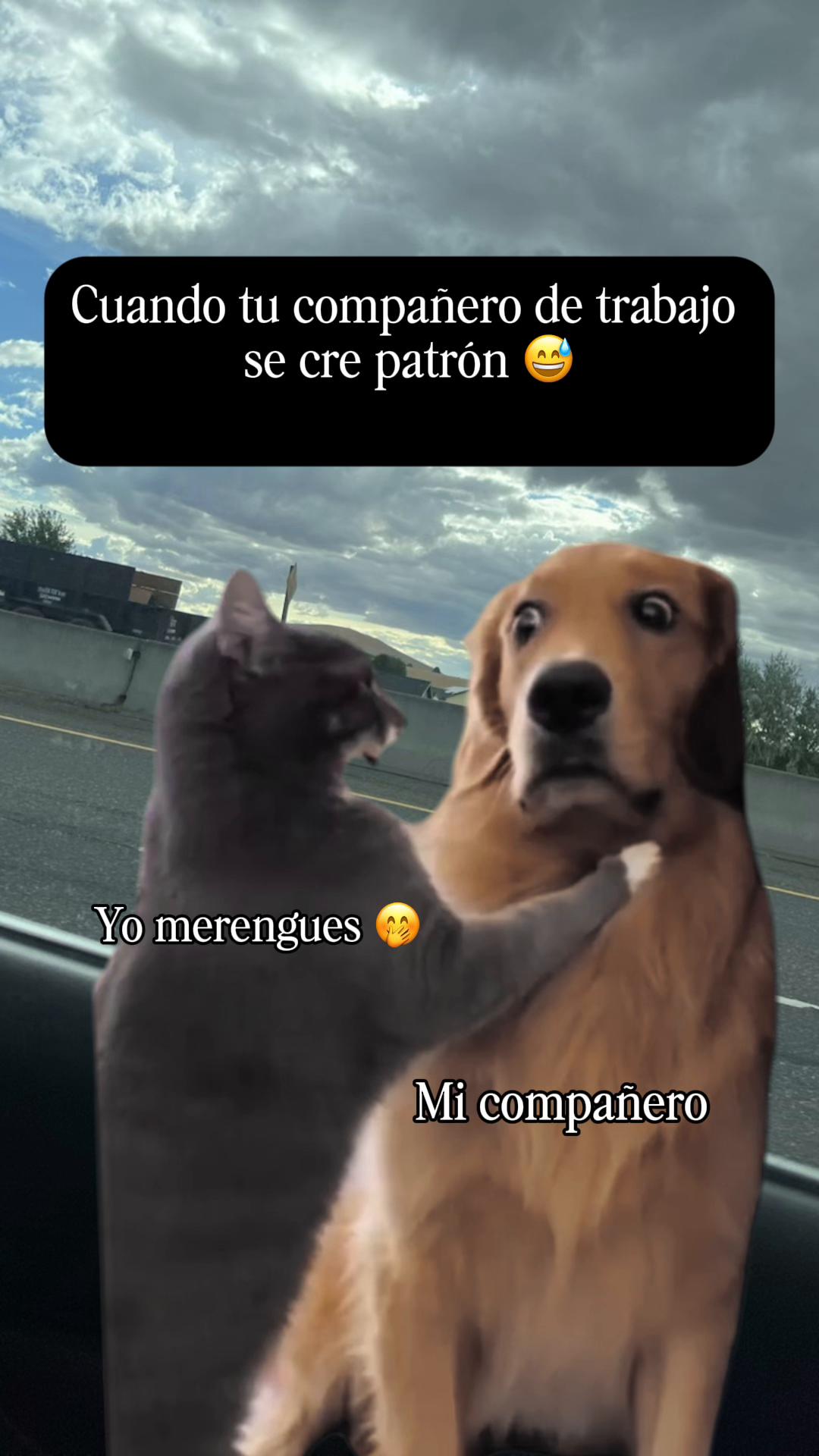 @🎀Zaiti🤍☘️🎀