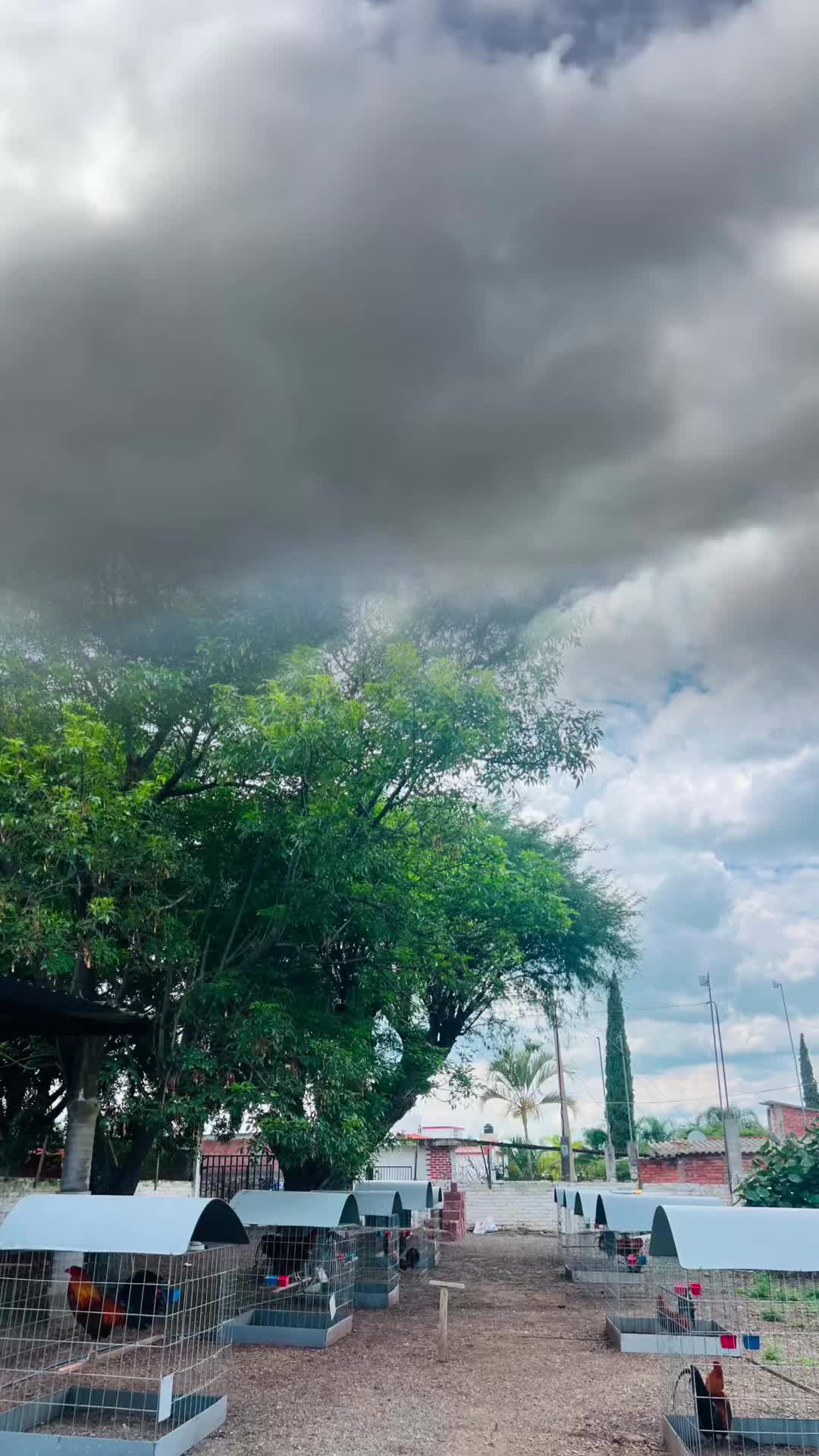 @Sal ZaraTe