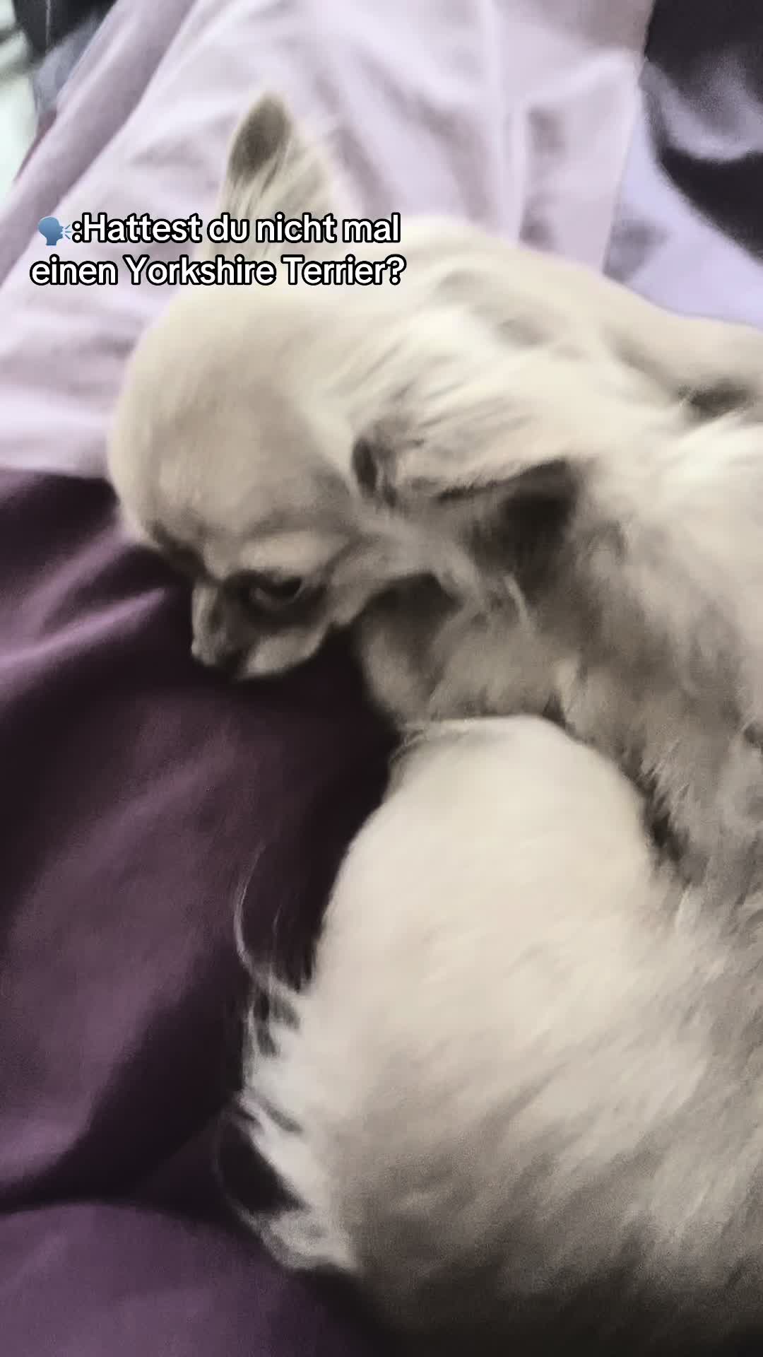 @𝒩𝒶𝒹𝒾𝓃𝑒 ❦